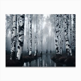 Birch Forest 100 Canvas Print