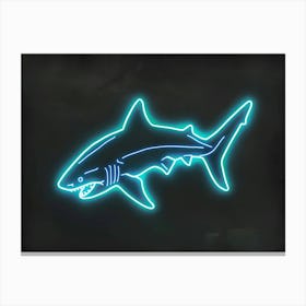 Neon White Tip Reef Shark 6 Canvas Print