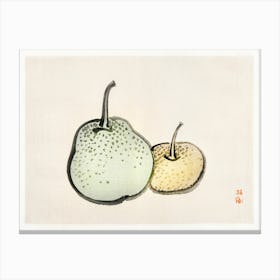 Asian Pears, Kōno Bairei Canvas Print