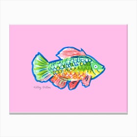 Girly Fish I Canvas Print