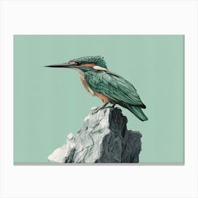 Kingfisher 1 Canvas Print