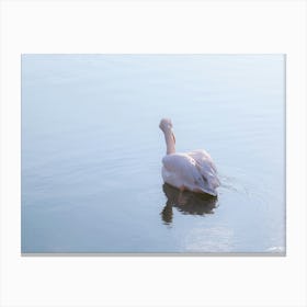 Blue Water Pink Pelican Canvas Print