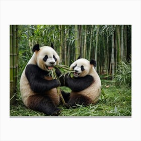 Panda Bears 1 Canvas Print