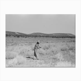 Water Witch Following Forded Stick In Search For Water, Pie Town, New Mexico By Russell Lee Canvas Print