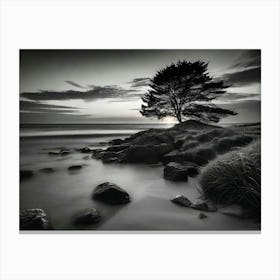 Lone Tree 31 Canvas Print