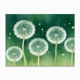 Dandelion 22 Canvas Print