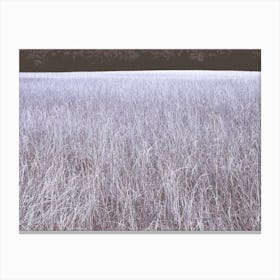 Surreal Blue Alien Tall Grass Landscape in Trent Park Canvas Print