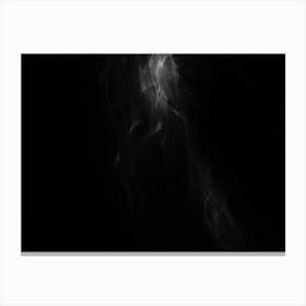 Glowing Abstract Curved Black And White Lines 5 Canvas Print
