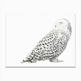 Snowy Owl Canvas Print