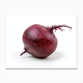 Beetroot isolated on white background. Canvas Print