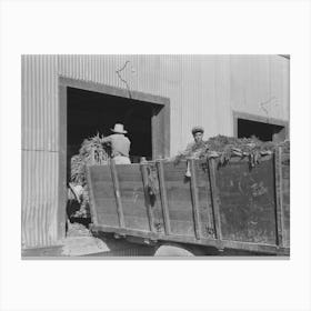 Unloading Carrots At Packing Plant, Pharr, Texas By Russell Lee Canvas Print