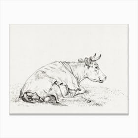 Lying Cow, To The Right, Jean Bernard Canvas Print