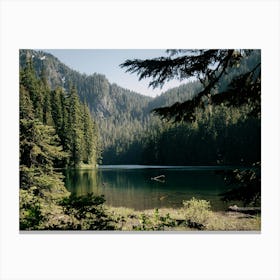 Forest Wilderness Lake Canvas Print