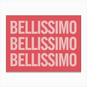 Bellissimo Red And Pink Canvas Print