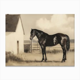 Black Horse In Front Of House Canvas Print