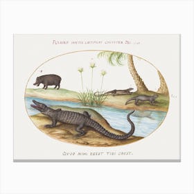 Crocodile, Hippopotamus, And Lizards With A Papyrus Plant (1575–1580), Joris Hoefnagel Canvas Print