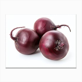 Beets 4 Canvas Print