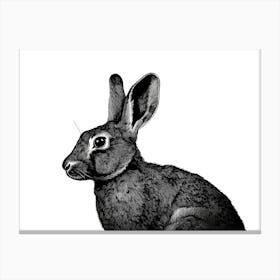 Black & White Rabbit Portrait Canvas Print