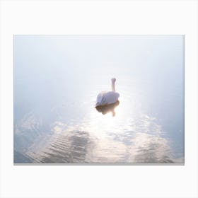 Pelican Mirrored Water And Sunlight Canvas Print