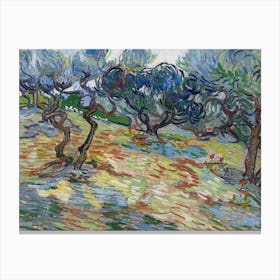 Olive Trees, Van Gogh Canvas Print