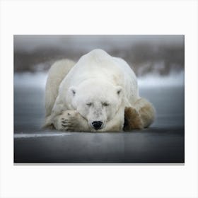 Dreaming Alone Canvas Print