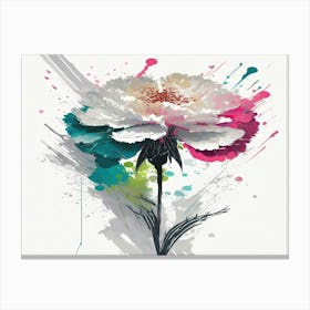 Carnation 17 Canvas Print