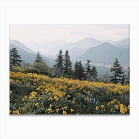 Mountain Flower Meadow Canvas Print