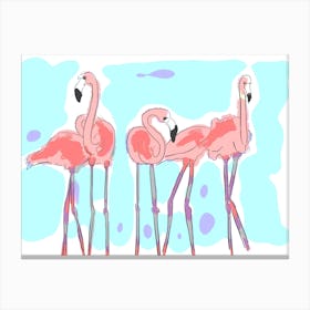 The Three Flamingos Canvas Print
