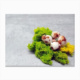 Small Eggs On Moss Canvas Print
