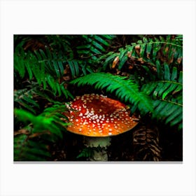 Mushroom Covered With Ferns Canvas Print