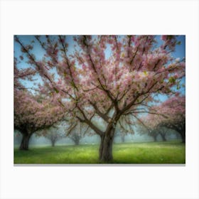 Blossoming Cherry Trees Canvas Print