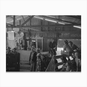 Untitled Photo, Possibly Related To Auctioning A Horse At West Texas Stockyards, San Angelo, Texas By Canvas Print