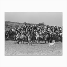 Untitled Photo, Possibly Related To Cowboys Driving Cows Down Rodeo Grounds, Bean Day, Wagon Mound Canvas Print