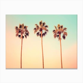 California Dreaming - Iconic Palms Canvas Print