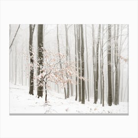 Winter forest in fog Canvas Print