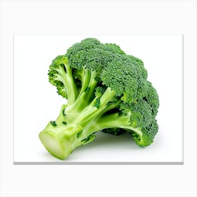 Broccoli 1 Canvas Print