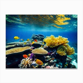 Coral Reef 3 Canvas Print