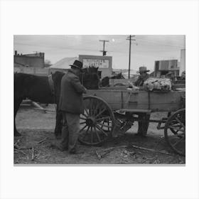 Untitled Photo, Possibly Related To Lot In Which Farmers Leave Their Wagons And Horses While Attending To Do Busines Canvas Print