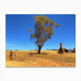 Rural Australia Canvas Print