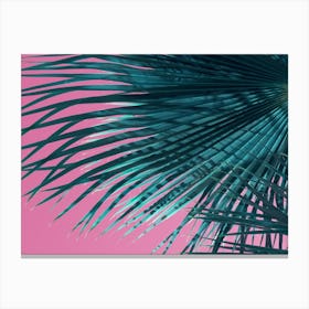 Blue-green palm leaf meets pink sky Canvas Print
