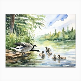 Canadian Geese 29 Canvas Print