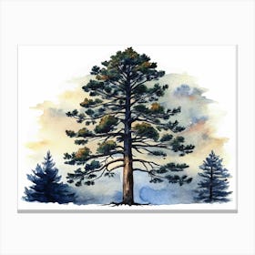 Watercolor Painting Of A Tall Pine Tree Canvas Print