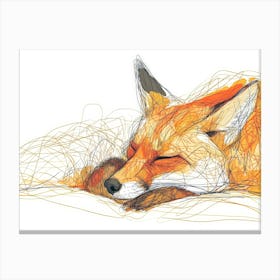 Fox Sleeping Canvas Print