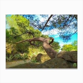 Tree In The Park 20210801 211ppub Canvas Print