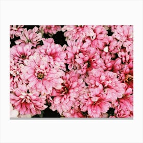 Bright Pink Flowers Canvas Print