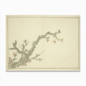 Hokusai S Blooming Plum Tree, Katsushika Hokusai Canvas Print