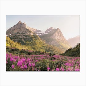 Mountain Wildflowers Canvas Print