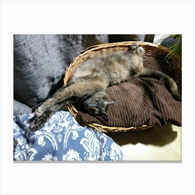 Cat In A Basket Canvas Print