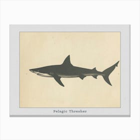 Pelagic Thresher Shark Grey Silhouette 2 Poster Canvas Print