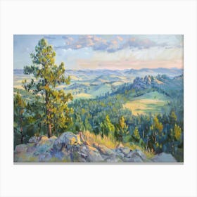 Western Landscapes Black Hills South Dakota 3 Canvas Print